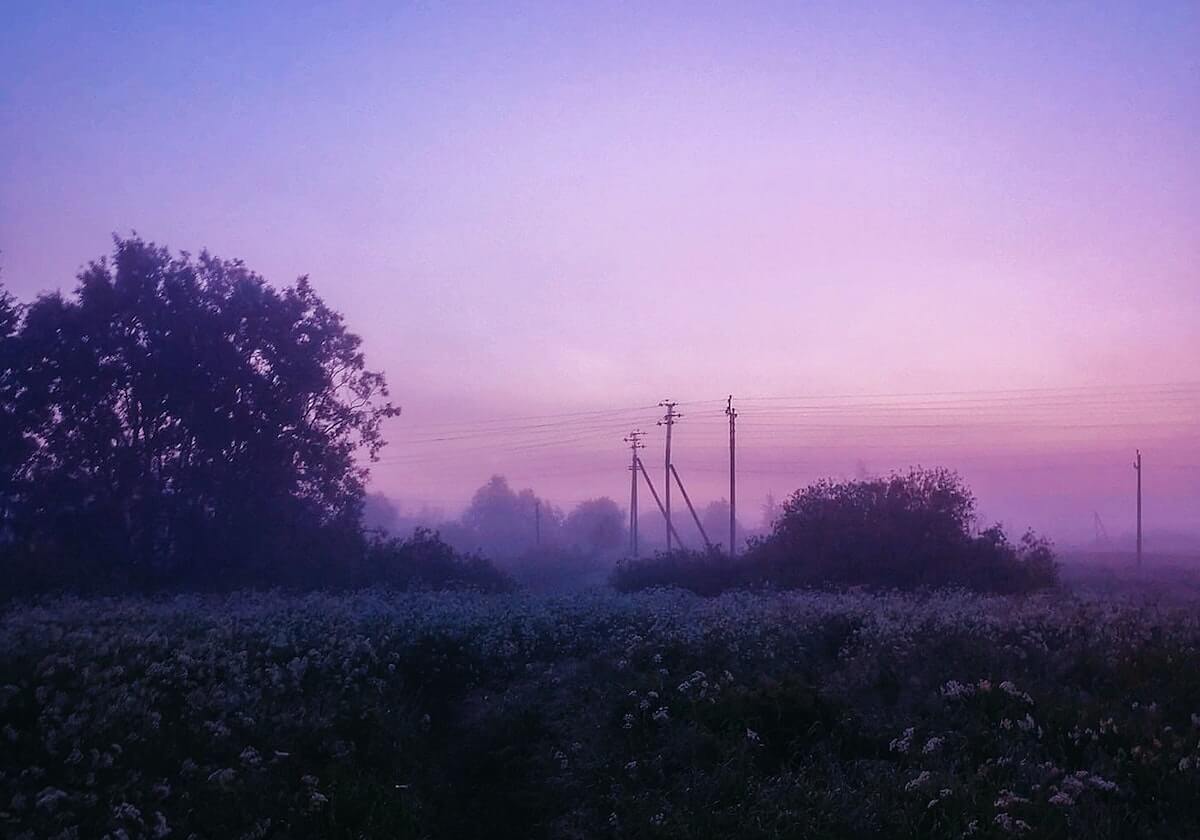 半岛体育官网-山东男篮分享陈林坚首秀精彩集锦：“林”机应变，“坚”不可摧